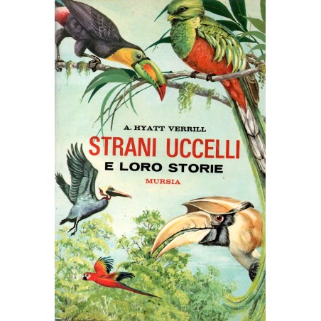 Strani uccelli e loro storie