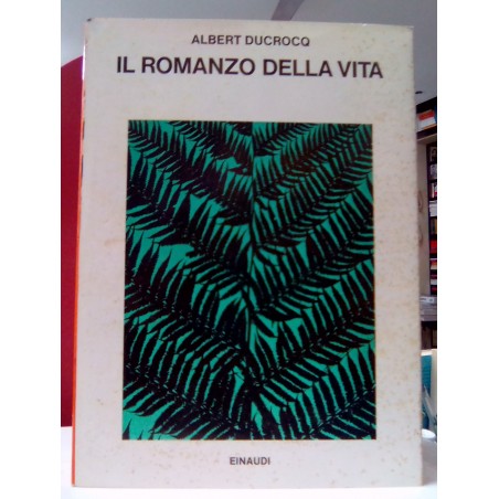 Il romanzo della vita