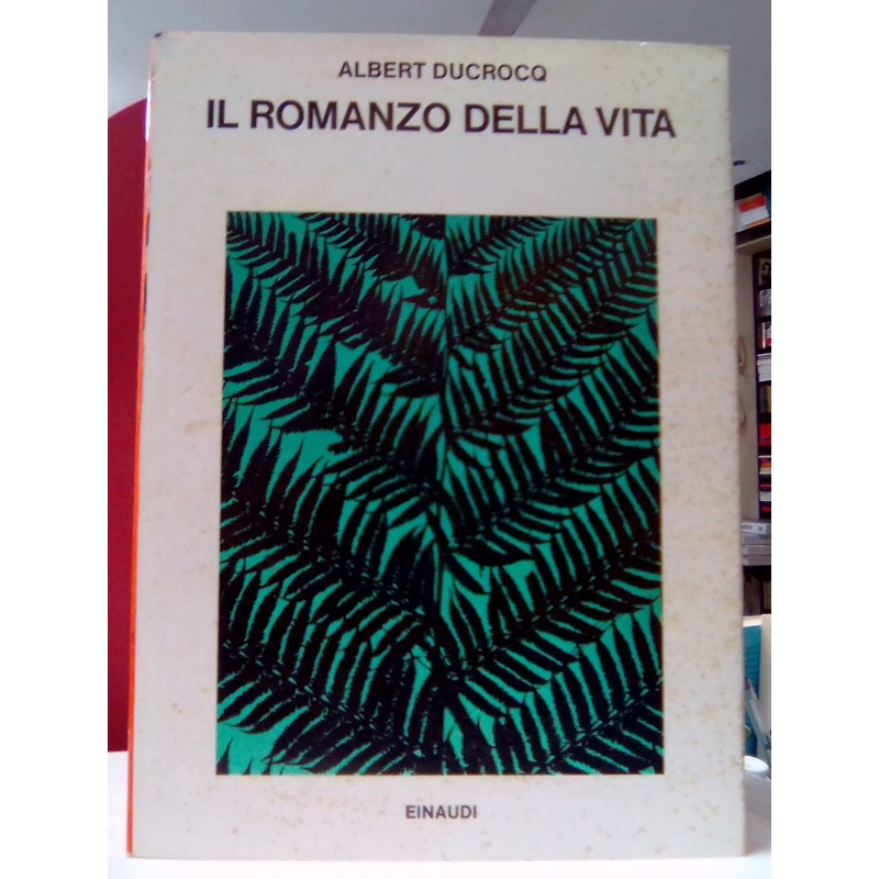 Il romanzo della vita