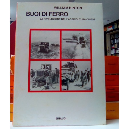 Buoi di ferro
