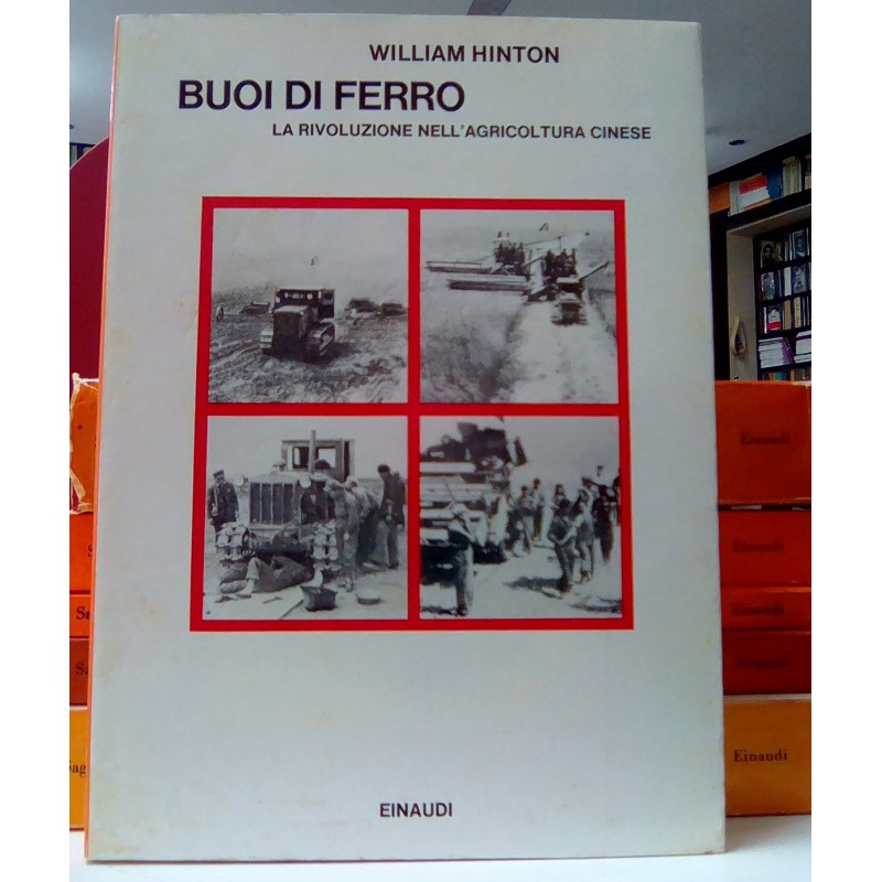 Buoi di ferro