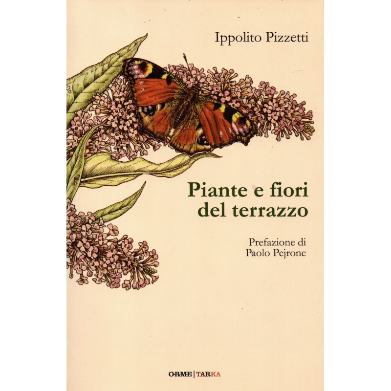 Piante e fiori del terrazzo