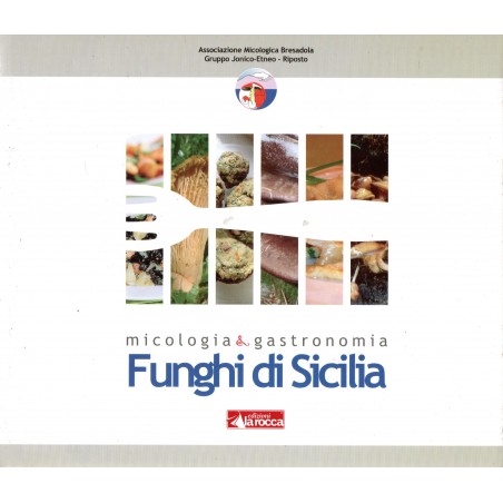 Funghi di Sicilia