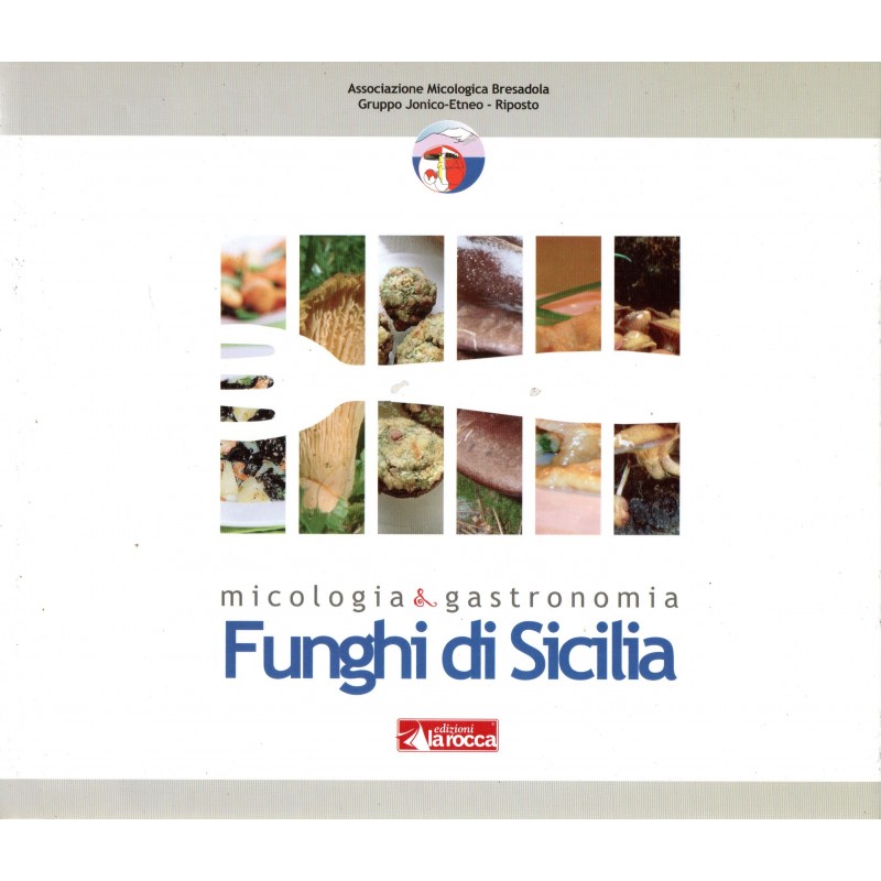 Funghi di Sicilia