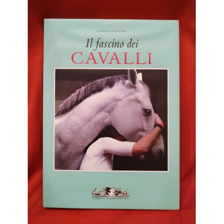 Il fascino dei cavalli