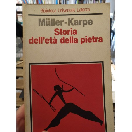 Storia dell'eta' della pietra