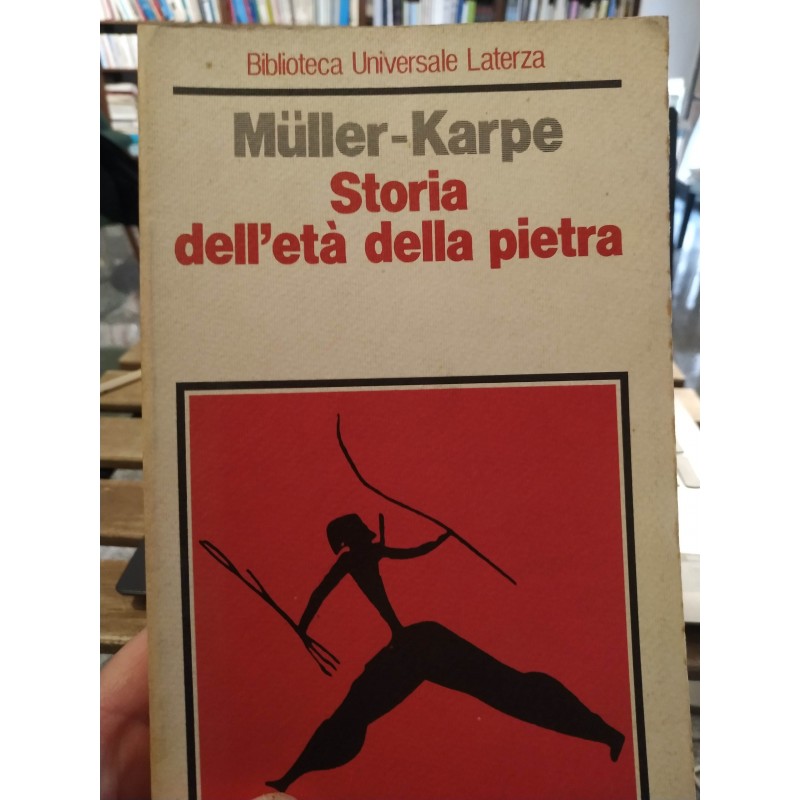 Storia dell'eta' della pietra