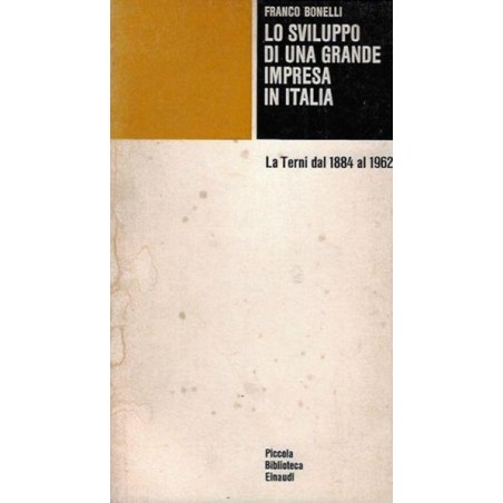 Lo sviluppo di una grande impresa in Italia