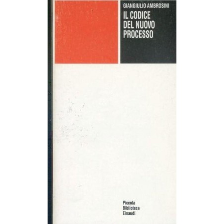 Il codice del nuovo processo