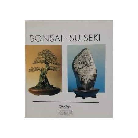 Bonsai-Suiseki