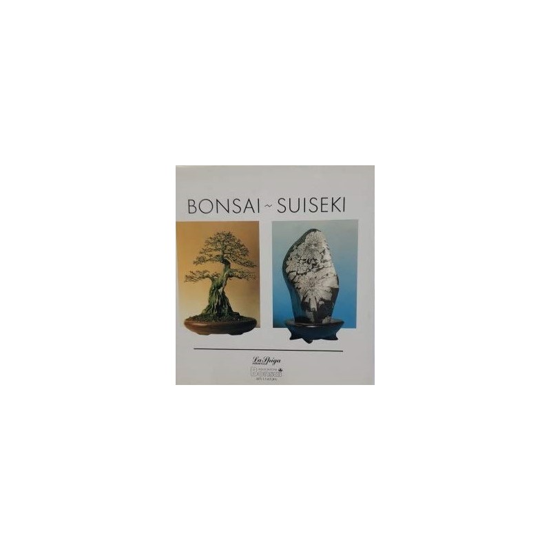 Bonsai-Suiseki