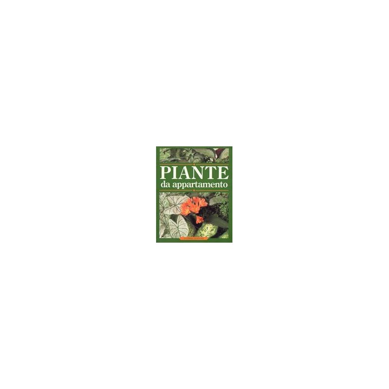 Piante da appartamento