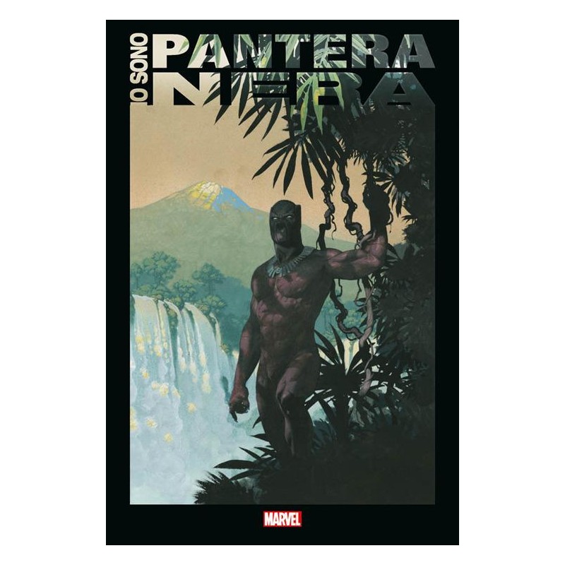 Io sono Pantera Nera