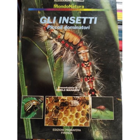 Insetti: piccoli dominatori