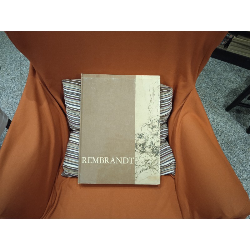Rembrandt. Disegni