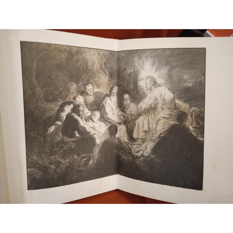 Rembrandt. Disegni