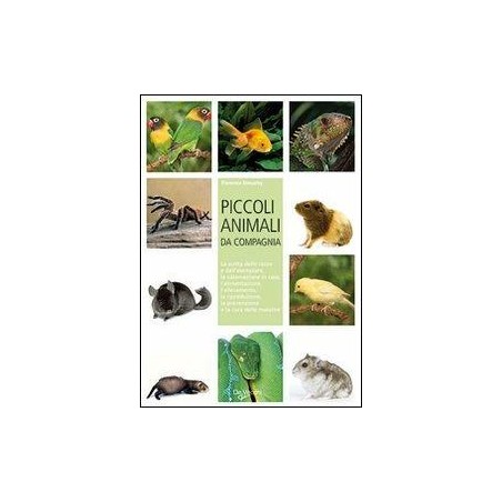 Piccoli animali da compagnia