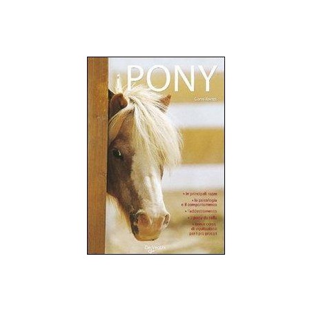 Il pony