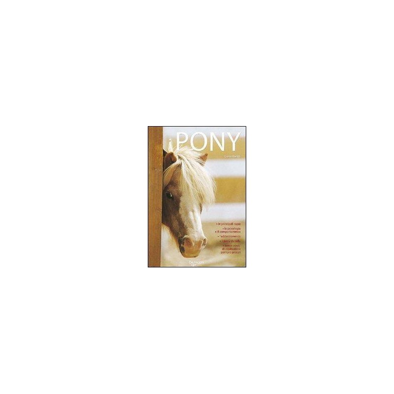 Il pony