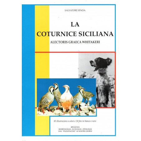 La coturnice siciliana