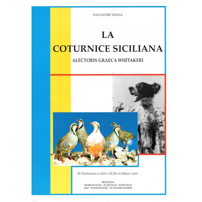 La coturnice siciliana