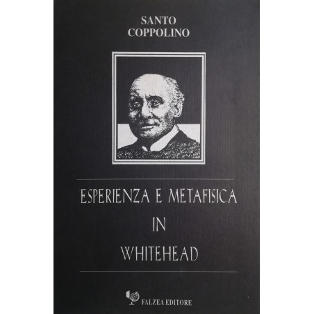 Esperienza e metafisica in Whitehead
