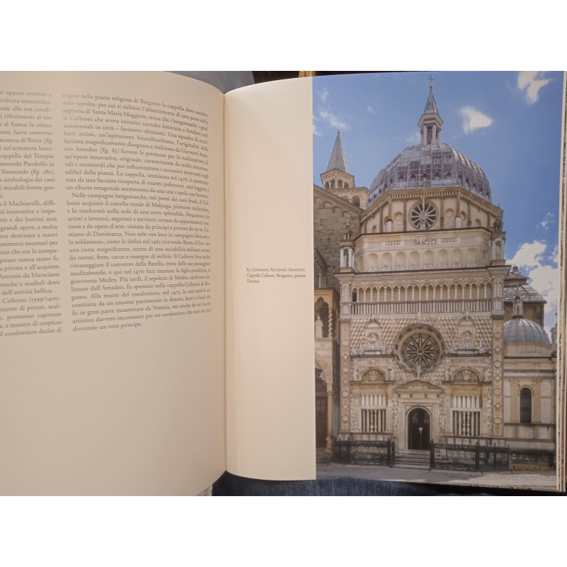 Corti italiane del Rinascimento. Arti, cultura e politica 1395-1530