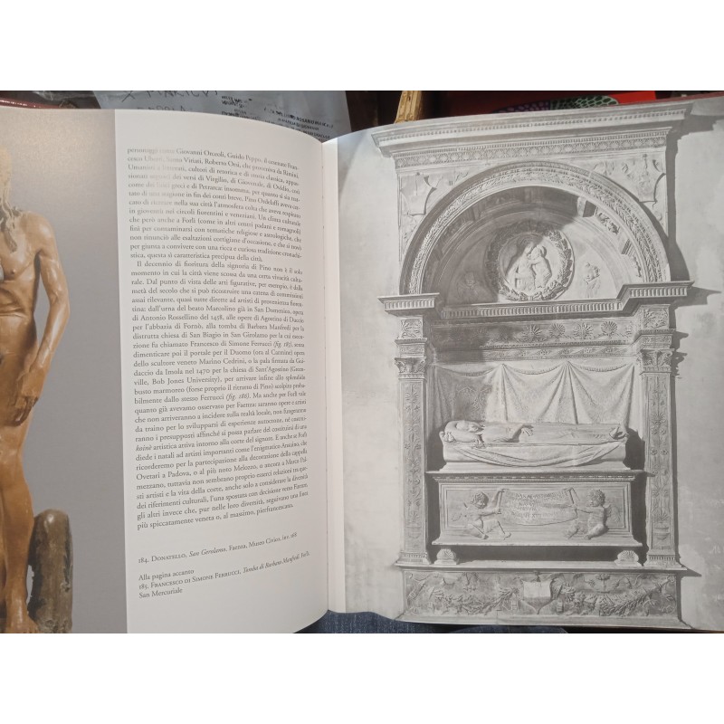 Corti italiane del Rinascimento. Arti, cultura e politica 1395-1530