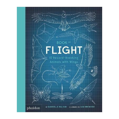 Book of Flight: 10 Record-Breaking Animals with Wings