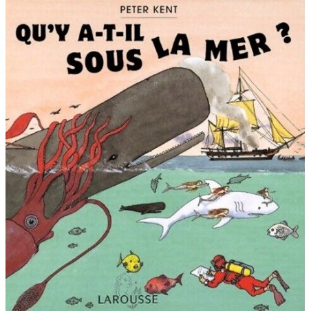 Qu'y a-t-il sous la mer?