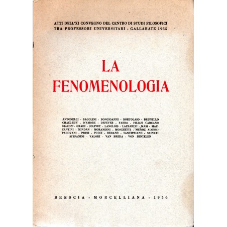 La fenomenologia
