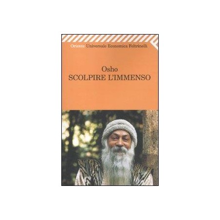 Scolpire l'immenso. Discorso sul mistico sufi Hakim Sanai