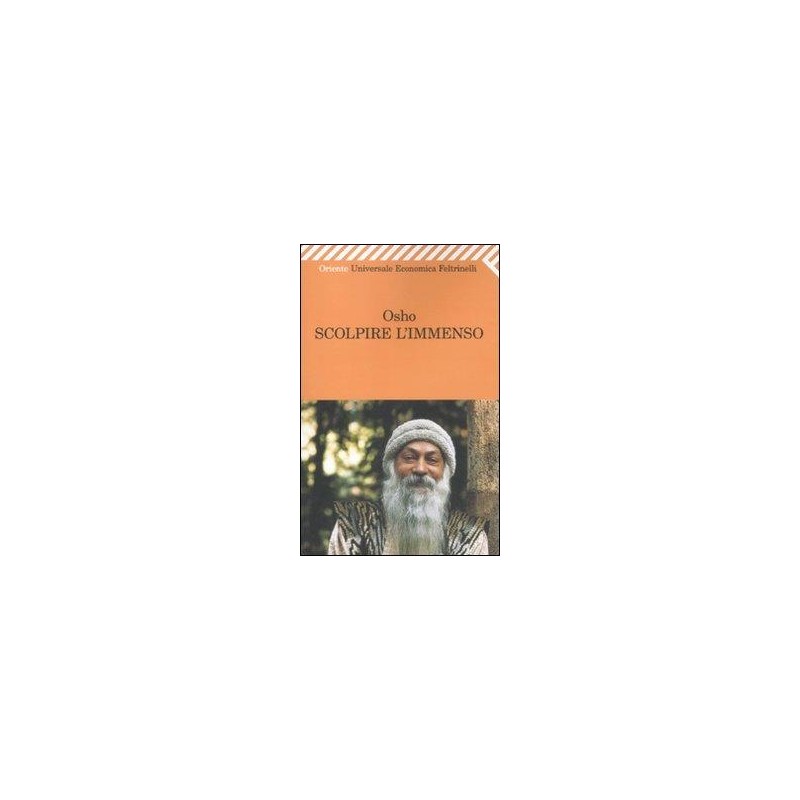 Scolpire l'immenso. Discorso sul mistico sufi Hakim Sanai