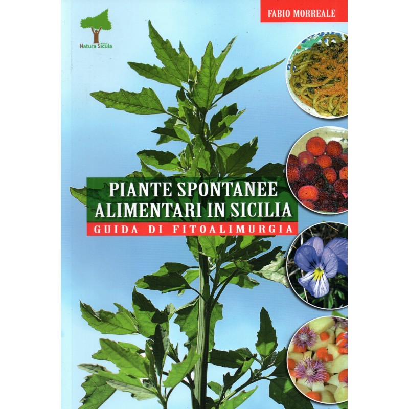 Piante spontanee alimentari in Sicilia