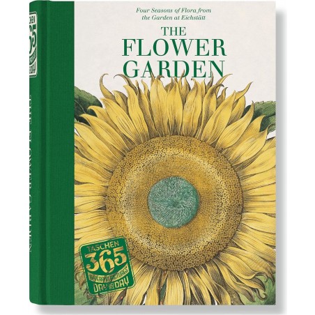 The flower garden