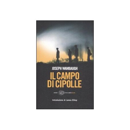 Il campo di cipolle
