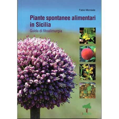 Piante spontanee alimentari in Sicilia