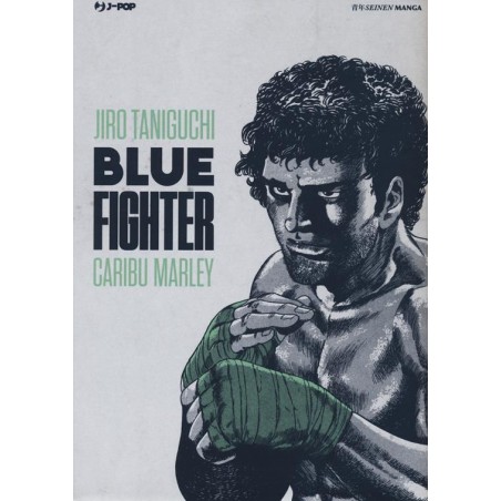 Blue fighter
