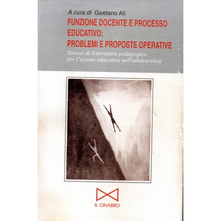 Funzione docente e processo educativo: problemi e proposte educative