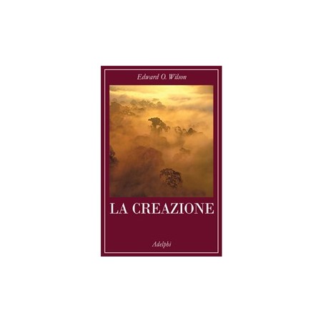 La creazione