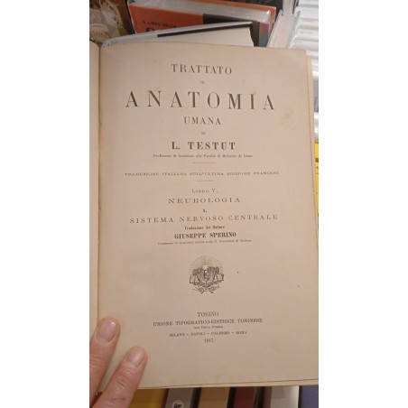 Trattato di anatomia umana Libro V Neurologia I sistema nervoso centrale