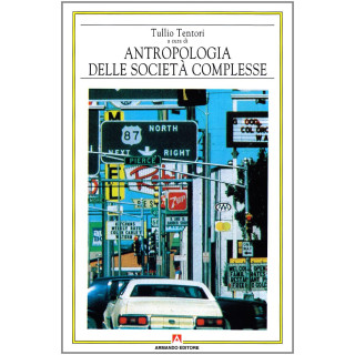 Antropologia delle società complesse