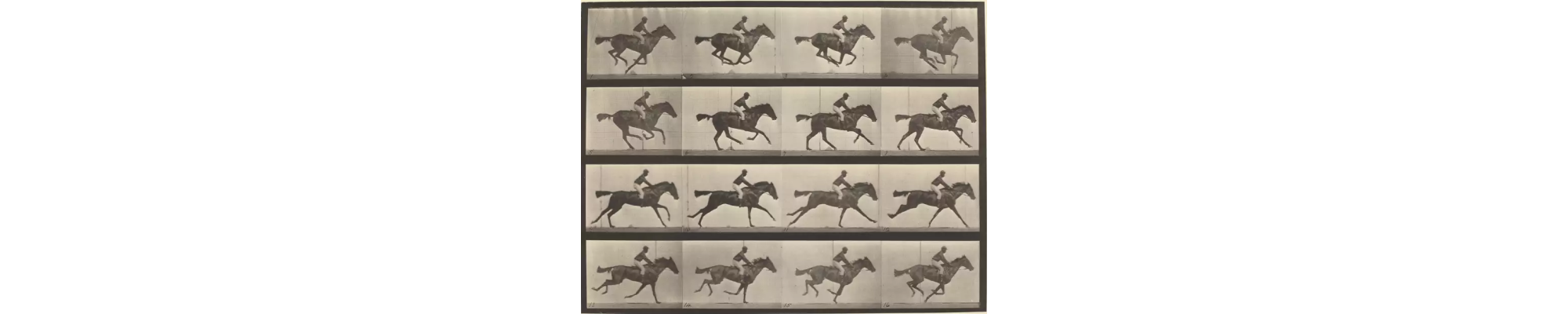 Fotografici-illustrati